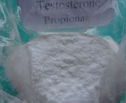 Poudre de testostérone 99% Pureté Propionate de testostérone / Androlin CAS 57-85-2
